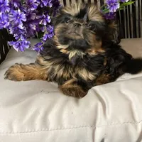 processed/5026290e-a9f9-493a-b7ef-8bd615b0796d/facility/a7fc05ab-c49a-45e5-9537-6597a4d71189