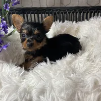 processed/5026290e-a9f9-493a-b7ef-8bd615b0796d/facility/aa287131-1fa0-4061-967c-6da5502eeb9d