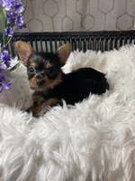 processed/5026290e-a9f9-493a-b7ef-8bd615b0796d/facility/aa287131-1fa0-4061-967c-6da5502eeb9d