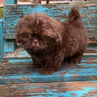 processed/5026290e-a9f9-493a-b7ef-8bd615b0796d/facility/ab74b3cd-8a98-4c3d-9eaf-9f02b94a8a8f