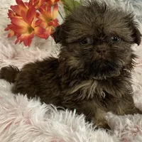 processed/5026290e-a9f9-493a-b7ef-8bd615b0796d/facility/c547b28a-db28-4f83-beed-4757f747b1a7