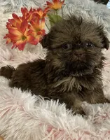 processed/5026290e-a9f9-493a-b7ef-8bd615b0796d/facility/c547b28a-db28-4f83-beed-4757f747b1a7