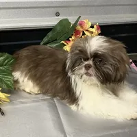 processed/5026290e-a9f9-493a-b7ef-8bd615b0796d/facility/de92ef3f-7903-41aa-80cc-8edeb890226e