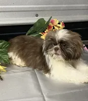 processed/5026290e-a9f9-493a-b7ef-8bd615b0796d/facility/de92ef3f-7903-41aa-80cc-8edeb890226e