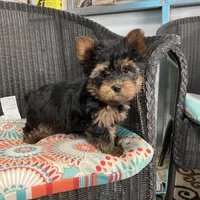 processed/5026290e-a9f9-493a-b7ef-8bd615b0796d/facility/f955c9d6-2bfb-4a7c-9582-84072c8b2a3b