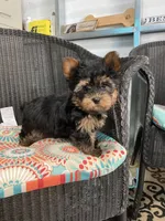 processed/5026290e-a9f9-493a-b7ef-8bd615b0796d/facility/f955c9d6-2bfb-4a7c-9582-84072c8b2a3b