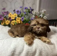 processed/5026290e-a9f9-493a-b7ef-8bd615b0796d/listing/4e3606a7-bb00-4e1c-9b10-5dd5c270bf7a/0d5dc799-f0fa-4bc3-b95e-5252d4dfad4d