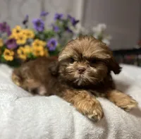 processed/5026290e-a9f9-493a-b7ef-8bd615b0796d/listing/4e3606a7-bb00-4e1c-9b10-5dd5c270bf7a/1016dd16-a1d1-45c8-94c0-8848fc6c328f