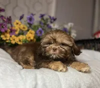 processed/5026290e-a9f9-493a-b7ef-8bd615b0796d/listing/4e3606a7-bb00-4e1c-9b10-5dd5c270bf7a/5e2a92fd-df1e-476f-863d-d52cf591a7ed