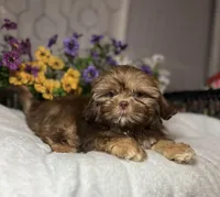 processed/5026290e-a9f9-493a-b7ef-8bd615b0796d/listing/4e3606a7-bb00-4e1c-9b10-5dd5c270bf7a/9469d95a-47bf-43ee-8904-5ca1eb3d071e