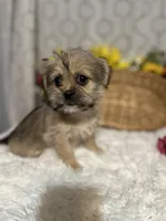 processed/5026290e-a9f9-493a-b7ef-8bd615b0796d/listing/d05ca50e-f07a-4acc-a979-599a31c82339/1014a371-133c-4525-ad1c-13bf186c2c40