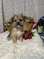 processed/5026290e-a9f9-493a-b7ef-8bd615b0796d/listing/d05ca50e-f07a-4acc-a979-599a31c82339/8efbcc67-2e75-4ef5-8985-ec55f79d7a06