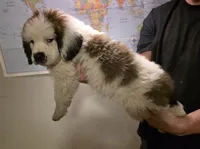 processed/502a954e-4162-4c0e-bcbf-472d08464044/listing/bb6e351a-04f2-47e9-ba60-4e45e7ca65bb/9bf500ba-c6fe-46b8-a0dd-fa0fd01d1798