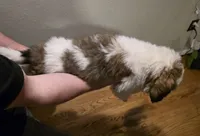 processed/502a954e-4162-4c0e-bcbf-472d08464044/listing/bb6e351a-04f2-47e9-ba60-4e45e7ca65bb/aed723c9-537d-45b4-8c74-f9d595c8a6d2