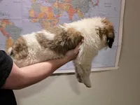 processed/502a954e-4162-4c0e-bcbf-472d08464044/listing/bb6e351a-04f2-47e9-ba60-4e45e7ca65bb/e454af72-cd8d-4433-a0fa-4bfc474890a9