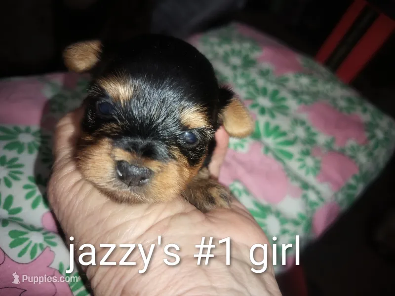 Jazzy's #1 girl