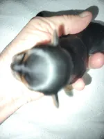 processed/504b382c-5e03-41ea-a41b-308044c51338/listing/47298710-0f41-4cfd-b717-2c3a4e6ce8df/78ddd3db-1ab3-47b2-a4b5-92dd9755fd68