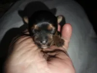 processed/504b382c-5e03-41ea-a41b-308044c51338/listing/47298710-0f41-4cfd-b717-2c3a4e6ce8df/fce8e09e-301b-4c06-88e3-6c6bd6e560c7