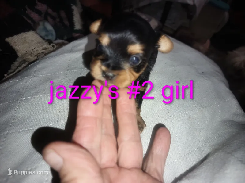Jazzy's girl #2