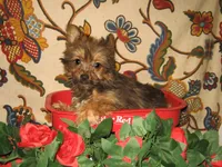 processed/50546ef6-2822-44ec-ae85-6c43bf1ebf29/listing/2617f7d8-d93d-43d4-adf8-1db0ab959a30/4745a91b-a754-45e0-9527-28acbd14cac5