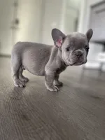 processed/5054e522-47aa-4bb1-a0a5-b8964ea41ae4/listing/9c329fcd-4f38-4329-8858-76dfe4b872ed/3523a965-bde8-4e11-994c-46388a4b7d82