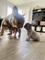 processed/5054e522-47aa-4bb1-a0a5-b8964ea41ae4/listing/9c329fcd-4f38-4329-8858-76dfe4b872ed/41aa008b-deac-486c-89e3-a79f770c5345