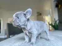 processed/5054e522-47aa-4bb1-a0a5-b8964ea41ae4/listing/9c329fcd-4f38-4329-8858-76dfe4b872ed/45e6d60e-bbeb-43e4-9eef-e900893ca6a0