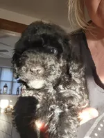 processed/505552c6-c226-41da-ba92-076474db44a9/listing/1eb957bb-ed3e-4422-98be-4f781ac03735/15034299-878c-4343-a068-f0c1ef786aa2