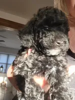 processed/505552c6-c226-41da-ba92-076474db44a9/listing/1eb957bb-ed3e-4422-98be-4f781ac03735/e5cbc484-417c-423c-a9f3-1ba1833e4eec