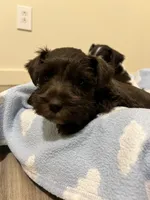 processed/50580b5f-68ae-4145-b5c6-fad0f8a096ce/facility/23c06997-ef38-4be9-bc17-49da74284d36