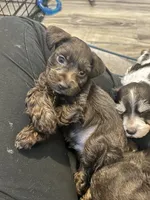 processed/50580b5f-68ae-4145-b5c6-fad0f8a096ce/facility/b5b6cc99-fb79-4574-8af6-40da058dd853