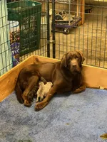 processed/5066b70e-6088-4ca4-9ef7-4578ffd06cc2/listing/0e420886-bebe-40db-abe2-50e451cc0e1b/835383bf-6f56-4ec8-9e10-e881fc6a21e4