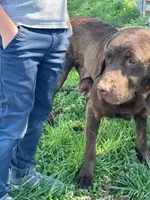 processed/5066b70e-6088-4ca4-9ef7-4578ffd06cc2/listing/0e420886-bebe-40db-abe2-50e451cc0e1b/b160b8d9-cf65-4981-a09a-e5fea945fe9b