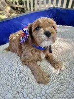 processed/5068dcfa-c4e6-4238-a06a-c2235ed6a5f9/facility/33e97d66-e1db-48d4-a84d-e5ca6cbb6dce