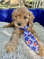 processed/5068dcfa-c4e6-4238-a06a-c2235ed6a5f9/facility/4c10e0c8-31c3-45f8-b882-1daad5c2b580