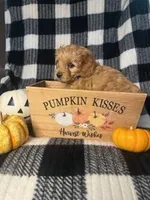 processed/5068dcfa-c4e6-4238-a06a-c2235ed6a5f9/facility/548c72da-f0c5-4ca5-a33e-8376339ef735