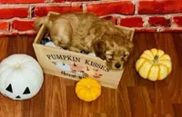 processed/5068dcfa-c4e6-4238-a06a-c2235ed6a5f9/facility/59feda79-1324-45b7-a04d-afe26583f10c