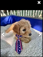 processed/5068dcfa-c4e6-4238-a06a-c2235ed6a5f9/facility/5b91556e-35af-4a6d-901b-4c44c1970b48