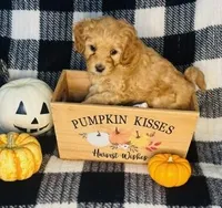 processed/5068dcfa-c4e6-4238-a06a-c2235ed6a5f9/facility/7aed9660-03a0-45d1-bdcb-ddbd4b60c14b