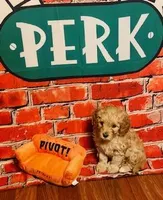 processed/5068dcfa-c4e6-4238-a06a-c2235ed6a5f9/facility/96ffa9fa-9222-4de0-a26e-c823fdfd3798