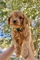 processed/5068dcfa-c4e6-4238-a06a-c2235ed6a5f9/facility/a0b616ce-a399-4639-89cf-6f6b4d964223