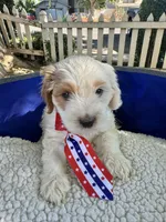 processed/5068dcfa-c4e6-4238-a06a-c2235ed6a5f9/facility/bfbb3691-80dc-4814-8f21-daa77232a917