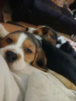 processed/5072bf1d-93f4-46e8-a821-4b5c1f43e704/listing/6c8e27c5-597b-4cef-80c0-c8aba179ea19/8d47c99d-dc02-46ae-a65a-2cdd888dd270