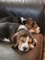 processed/5072bf1d-93f4-46e8-a821-4b5c1f43e704/listing/6c8e27c5-597b-4cef-80c0-c8aba179ea19/fa3bb7b2-214c-4670-89e1-373d71589cad