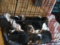 processed/5072bf1d-93f4-46e8-a821-4b5c1f43e704/listing/f5c17c66-05f6-46ce-9d9e-0c06dbe6c96e/0fb271f0-b829-419e-8bb1-c00c83f33dd8