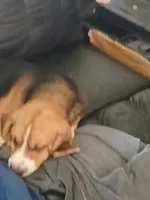 processed/5072bf1d-93f4-46e8-a821-4b5c1f43e704/listing/f5c17c66-05f6-46ce-9d9e-0c06dbe6c96e/6efe8f44-ab75-4a64-b9d2-6d296258a4b1