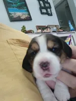 processed/5072bf1d-93f4-46e8-a821-4b5c1f43e704/listing/f5c17c66-05f6-46ce-9d9e-0c06dbe6c96e/71188690-ce89-41d5-b369-ff1d35179636