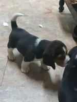 processed/5072bf1d-93f4-46e8-a821-4b5c1f43e704/listing/f5c17c66-05f6-46ce-9d9e-0c06dbe6c96e/d2f9e0e4-18d0-411a-8985-23a1400122bf