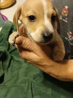 processed/507d22f9-3d33-441c-8382-19aa78ac9944/listing/4dcbfb96-ac4f-4329-8968-14090ee5cbc9/42f64f64-aebd-472c-8492-2faca308fe54