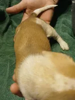 processed/507d22f9-3d33-441c-8382-19aa78ac9944/listing/4dcbfb96-ac4f-4329-8968-14090ee5cbc9/57e0a30c-f3cf-439c-8bc1-60984e54648d